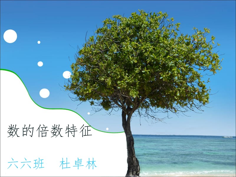 数倍数特征.ppt_第1页