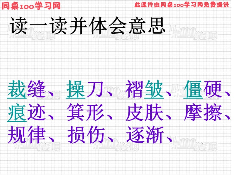 手上的皮肤.ppt_第3页