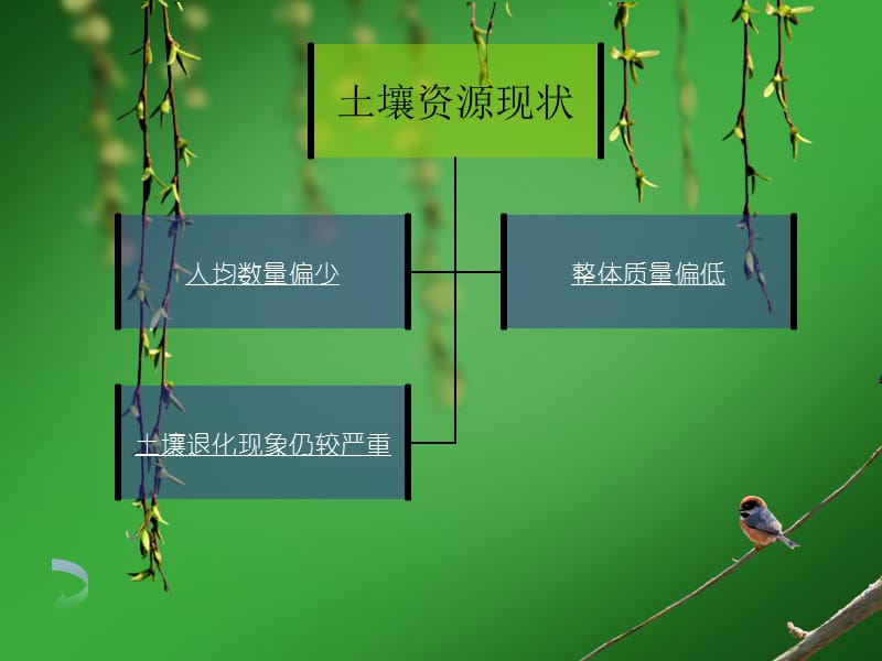 土壤与农业可持续发展ppt课件.ppt_第3页