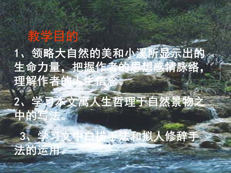 林中小溪.ppt_第2页