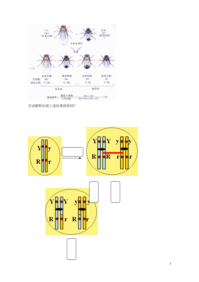 北京市第四中学2017届高考生物专题复习6基因在染色体上学案20170817179.doc_第2页