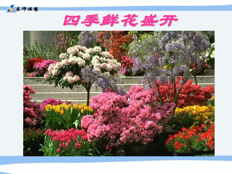 四季鲜花盛开.ppt_第2页