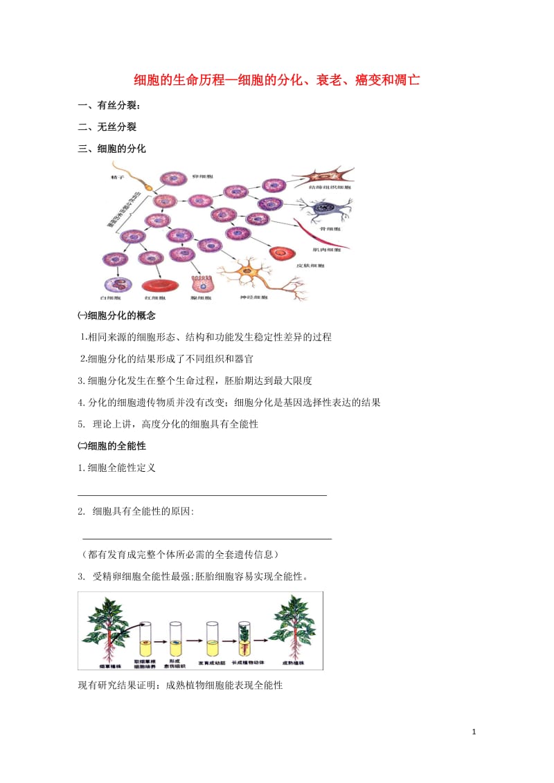 北京市第四中学2017届高考生物专题复习2细胞的分化衰老癌变和凋亡学案20170817163.doc_第1页