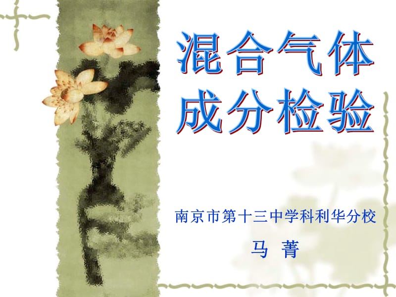 南京市第十三中学科利华分校马菁.ppt_第1页