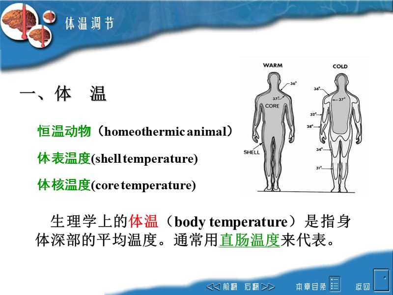 六章节体温调节Temperatureregulation.ppt_第2页