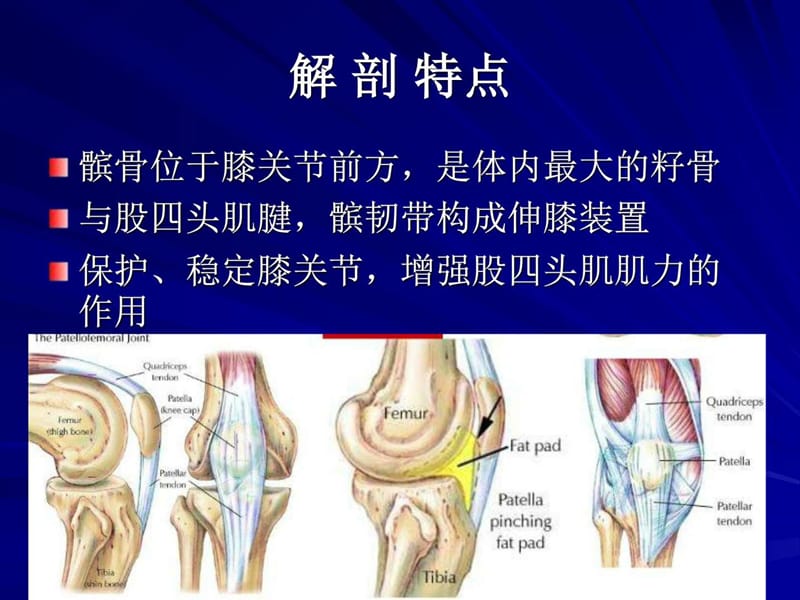 骨伤科护理学之下肢骨折_图文.ppt_第3页