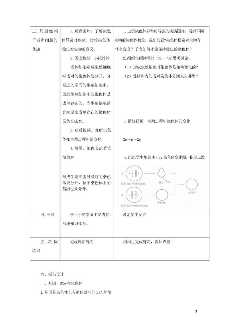 八年级生物下册7.2.2基因在亲子代间的传递教案新版新人教版20170811224.wps_第3页