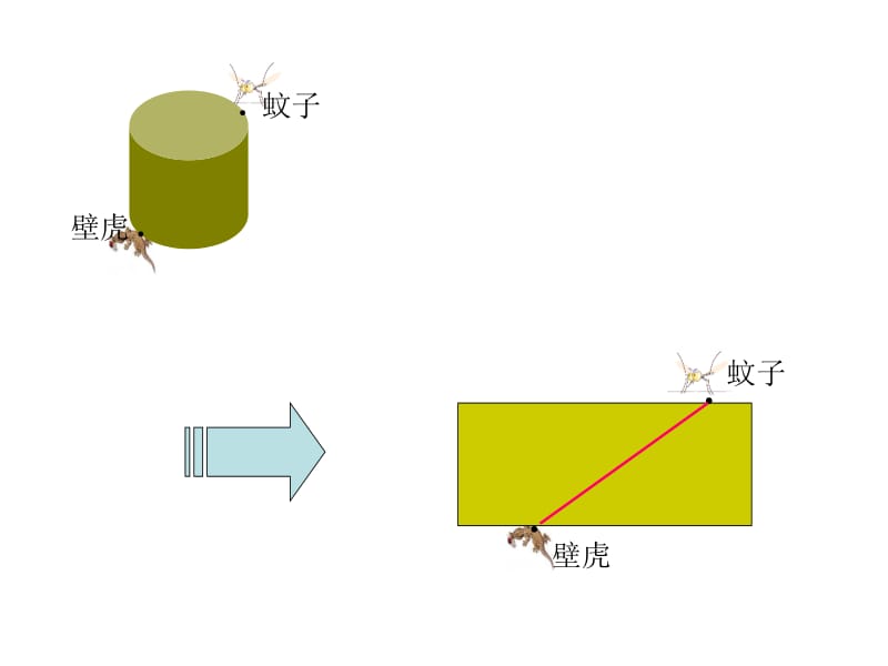 七年级上册数学课件华东师大版——立体图形的平面展开图[免费下载].ppt_第3页