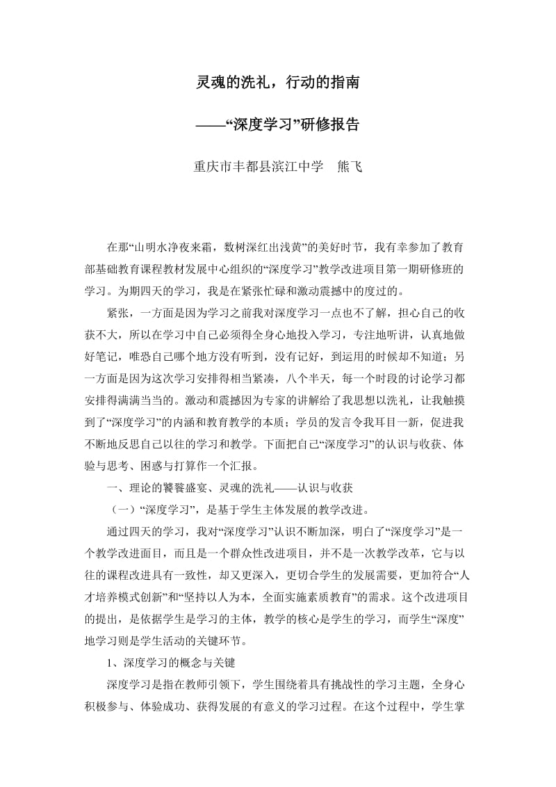 2019年灵魂的洗礼——深度学习精品教育.doc_第1页