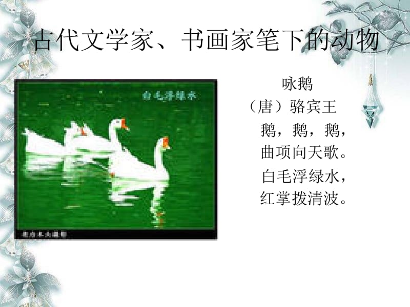 13《白鹅》.ppt_第2页