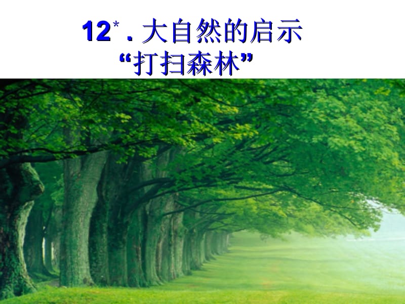 12大自然的启示ppt课件3 (2).ppt_第3页