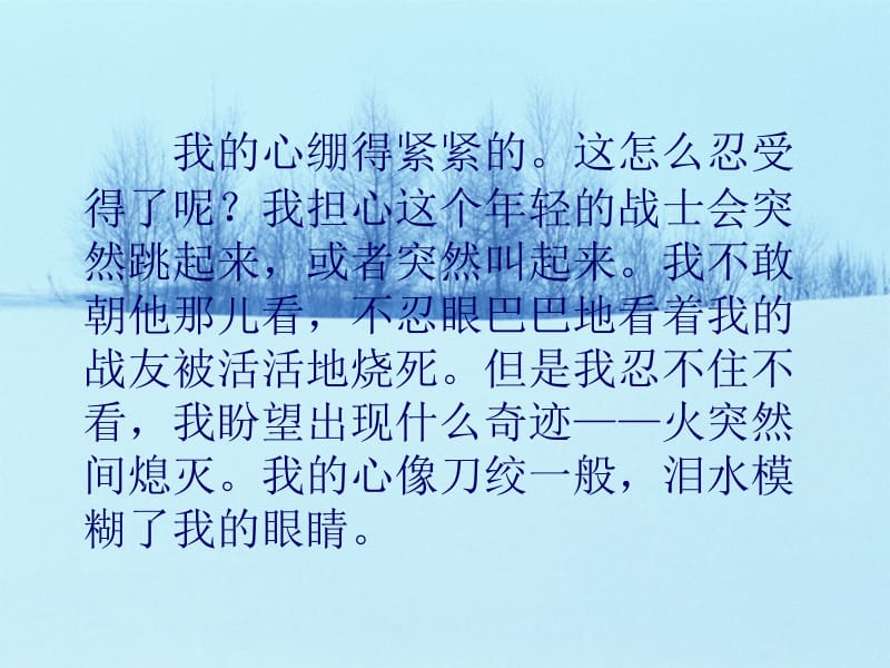 14我的战友邱少云.ppt_第3页