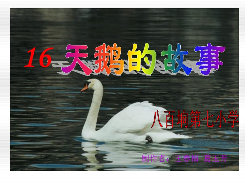 16天鹅的故事.ppt_第1页