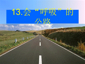 13会“呼吸”的公路1.ppt