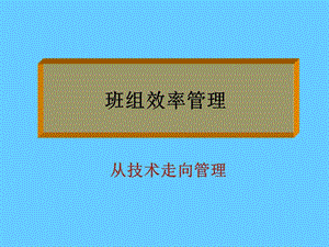 班组效率管理.ppt