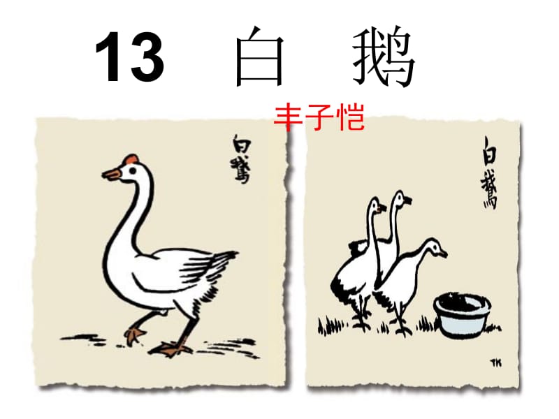 13白鹅课件.ppt_第2页