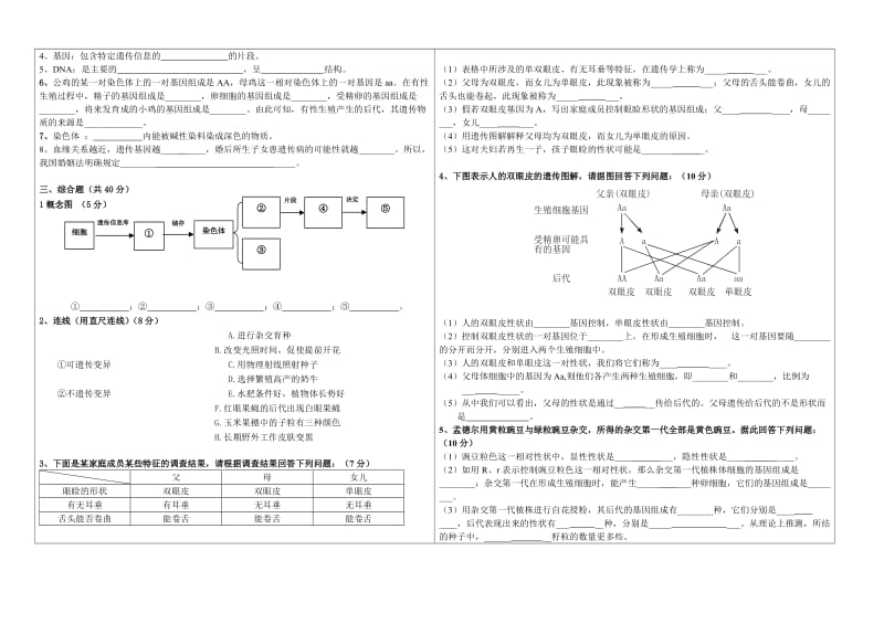 2019年生物：第22章《生物的遗传和变异》单元试题（苏教版八年级下）精品教育.doc_第3页