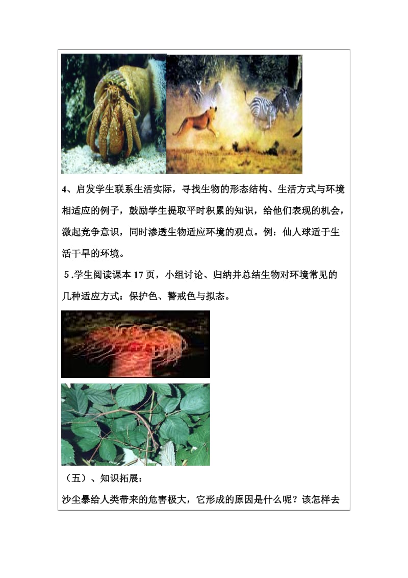 2019年生物与环境的相互影响教学设计精品教育.doc_第3页