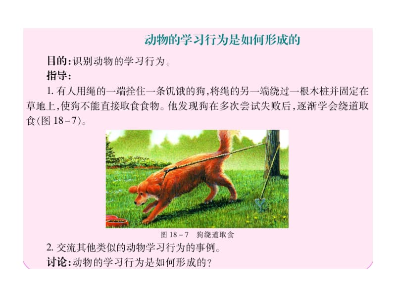 18-2动物行为的生理基础.ppt_第3页