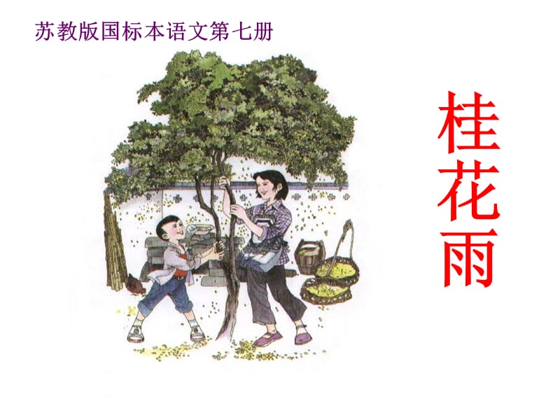 12《桂花雨》课件.ppt_第1页