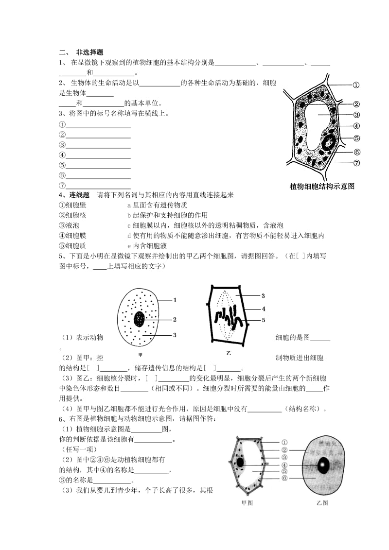 2019年生物：第3章《细胞是生命活动的基本单位》试题(苏教版七年级上)精品教育.doc_第2页