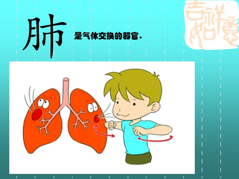 《城市之肺教学》ppt课件.ppt_第2页