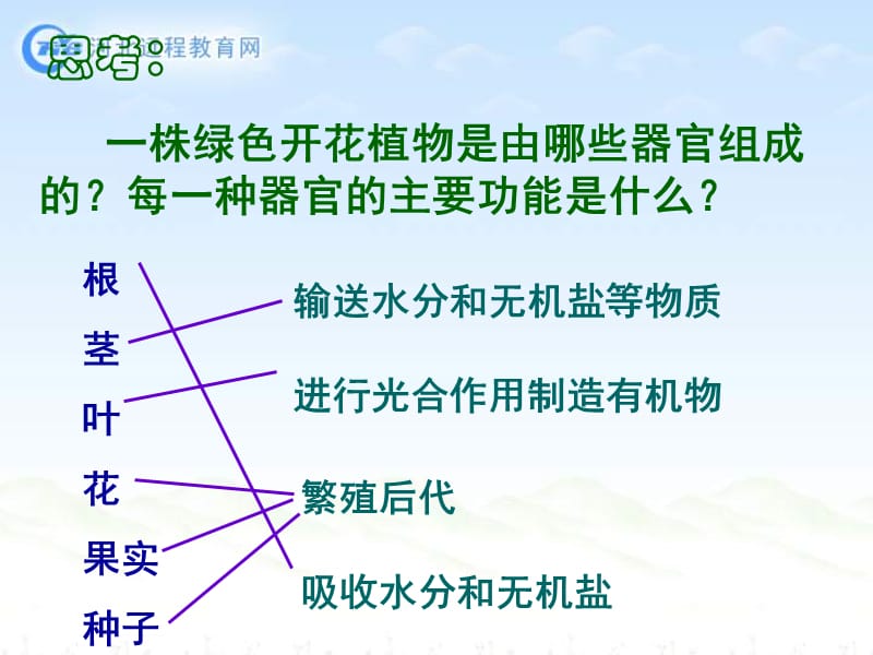 七年级生物植物体的结构层次3.ppt_第3页