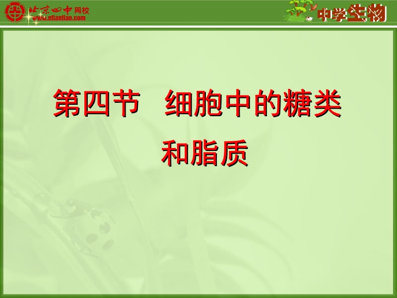 2019年细胞中的糖类和脂质1精品教育.ppt_第1页