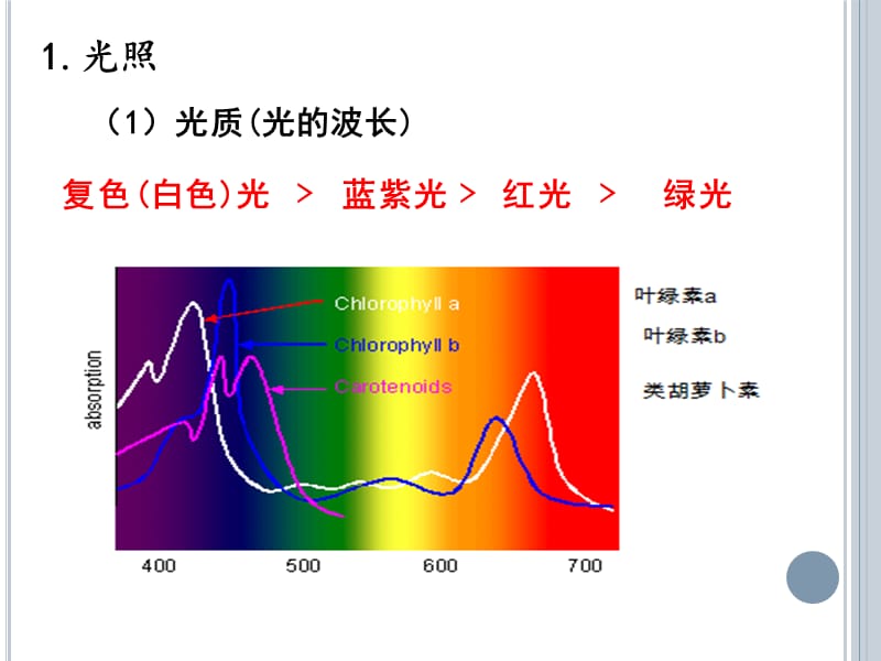 2019年环境因素对光合速率的影响141126精品教育.ppt_第3页