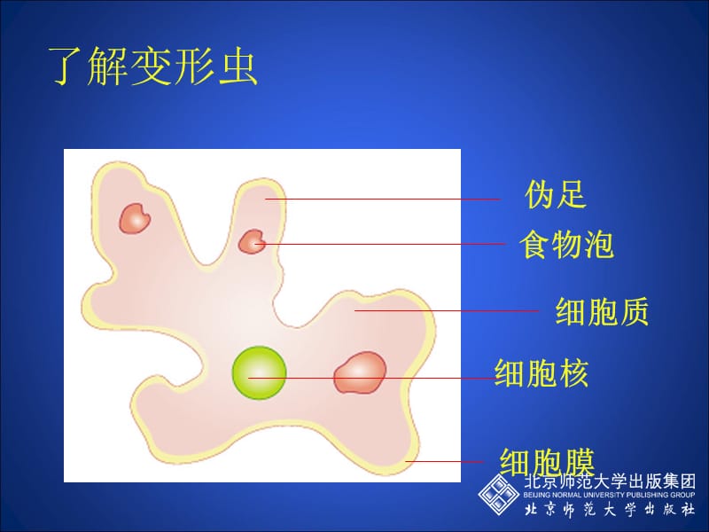 3.2细胞是生命活动的单位（一）.ppt_第3页