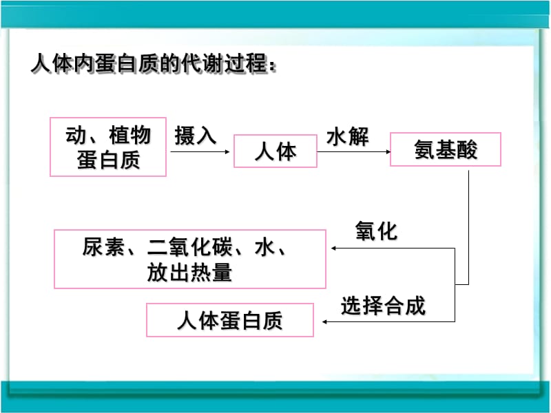 2019年课题1　人类重要的营养物质3精品教育.ppt_第3页