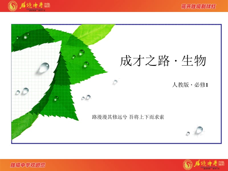 1.2《细胞的多样性和统一性》.ppt_第1页