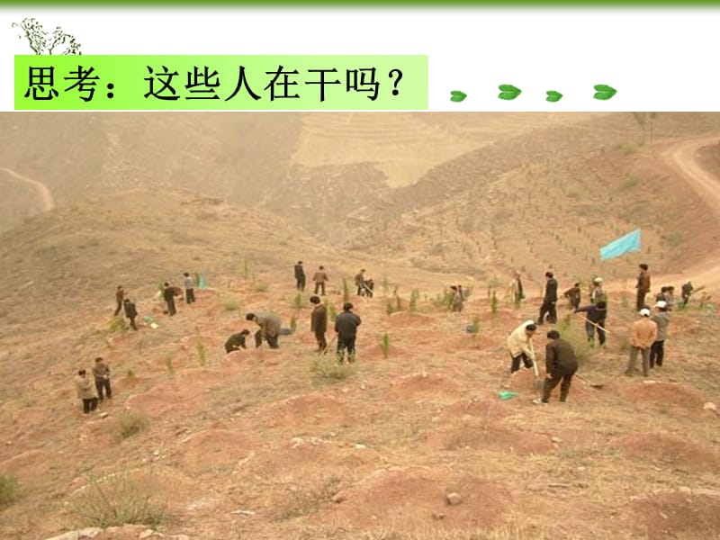 2019年绿色植物在生物圈水循环的作用精品教育.ppt_第2页