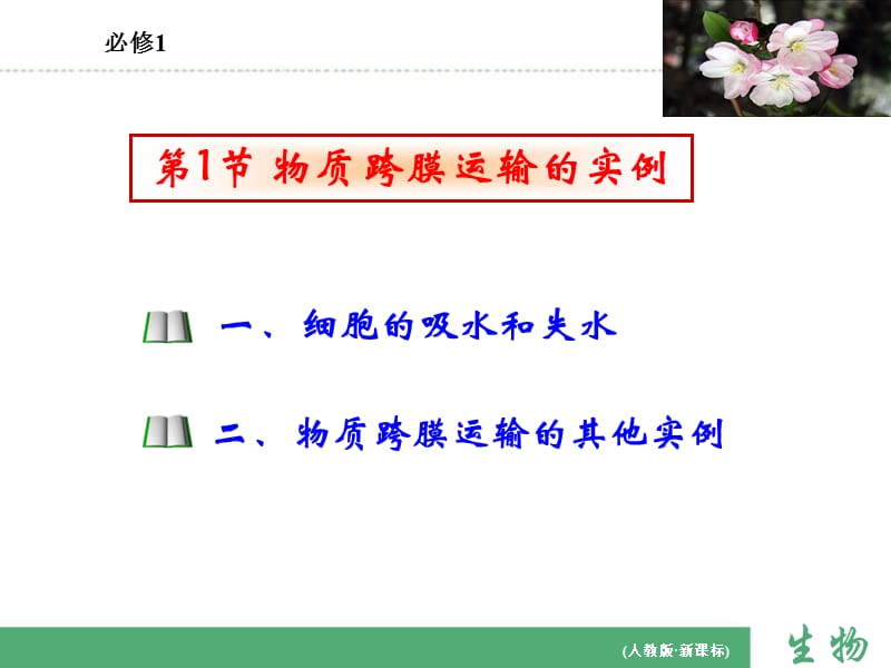 2019年物质跨膜运输的实例上课课件精品教育.ppt_第1页