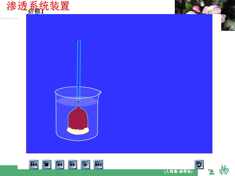 2019年物质跨膜运输的实例上课课件精品教育.ppt_第3页