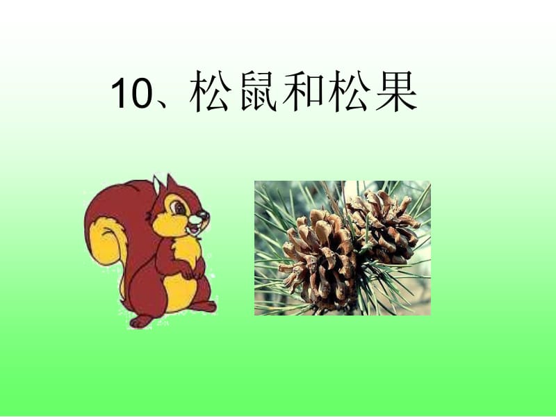 10_松鼠和松果_上课用.ppt_第2页