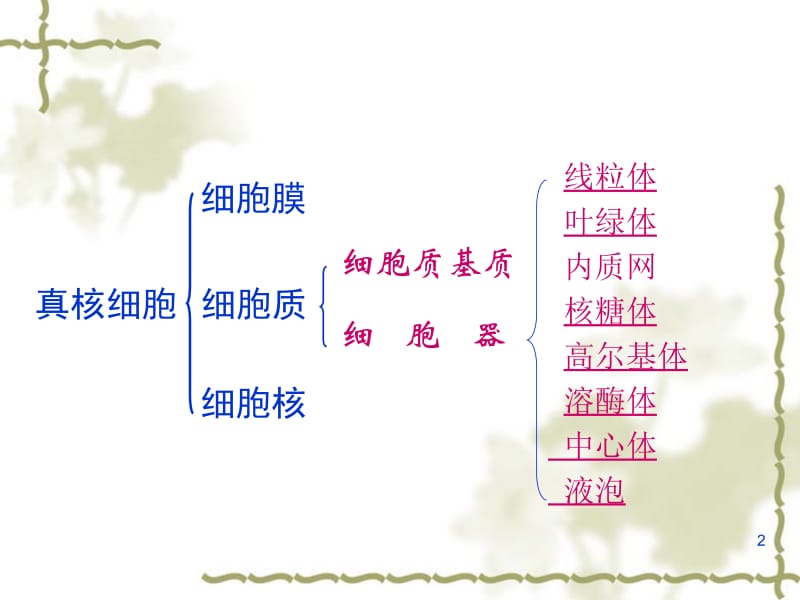 3.2细胞器细胞内的分工合作第一课时课件（人教版必修1）.ppt_第2页