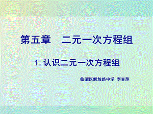 2019年李亚萍二元一次方程组演示文稿精品教育.ppt