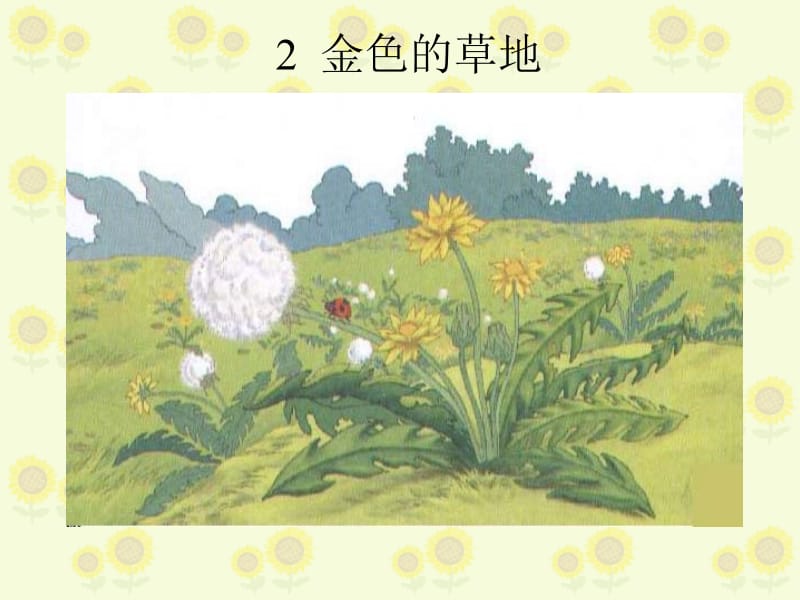 2、金色的草地 (2).ppt_第1页