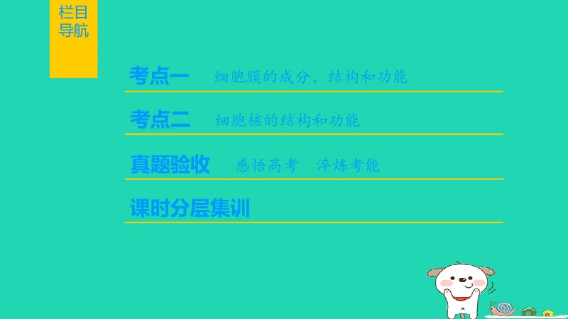 （全国版）2019版高考生物一轮复习第2单元细胞的基本结构与物质的输入和输出第1讲细胞膜和细胞核课件.ppt_第2页