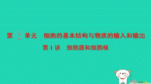 （全国版）2019版高考生物一轮复习第2单元细胞的基本结构与物质的输入和输出第1讲细胞膜和细胞核课件.ppt