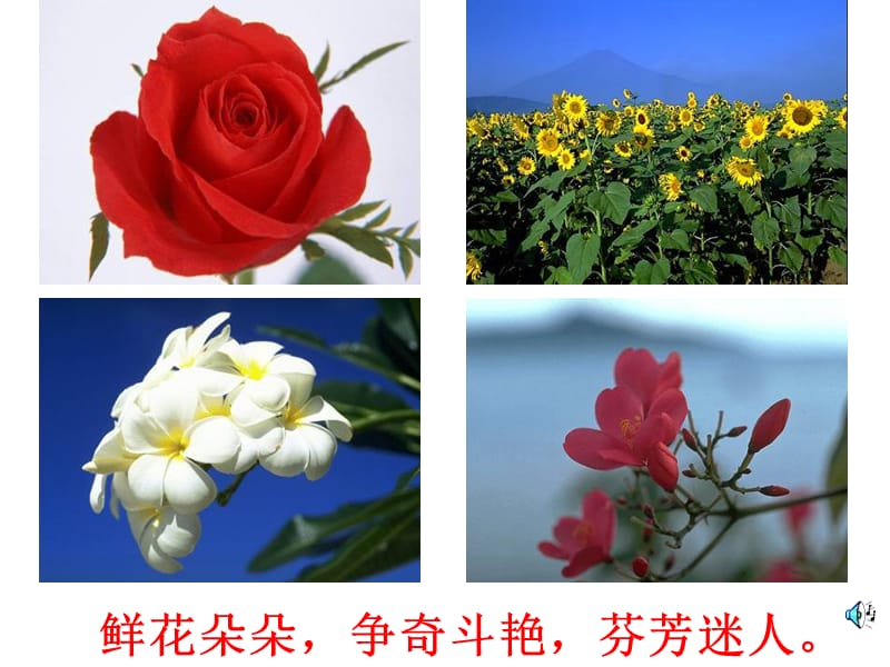 2019年花钟-马永红精品教育.ppt_第2页