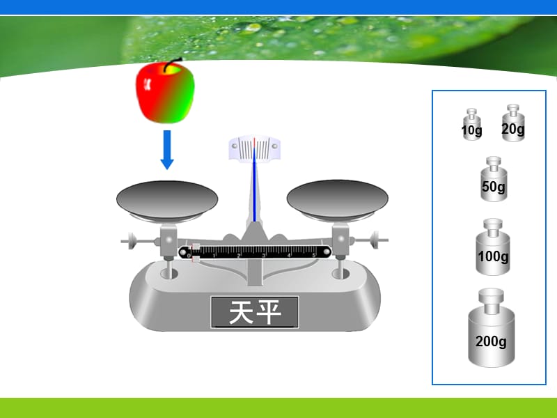 2019年方程的认识最终稿-赵震精品教育.ppt_第3页