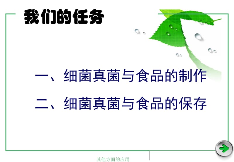 人类对细菌和真菌的利用(课件).ppt_第2页