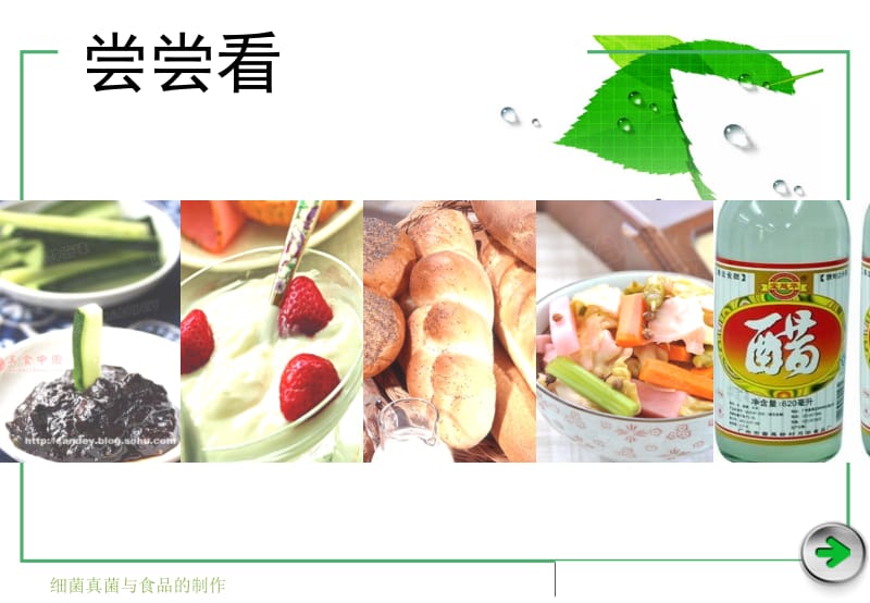 人类对细菌和真菌的利用(课件).ppt_第3页