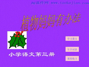 二年级上册《植物妈妈有办法》课件 (2).ppt