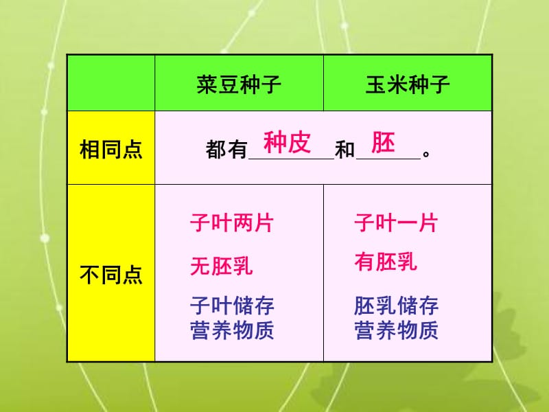 人教版七上第二章第一节种子的萌发（共18张PPT）.ppt_第3页