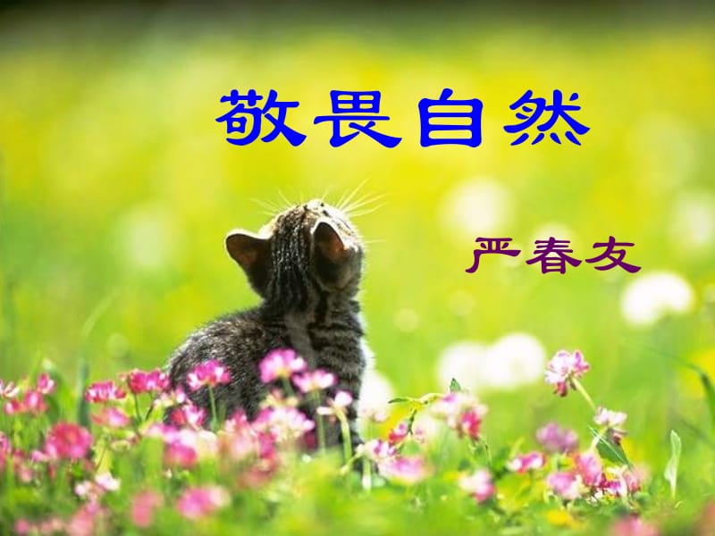 严春友：敬畏自然.ppt_第1页