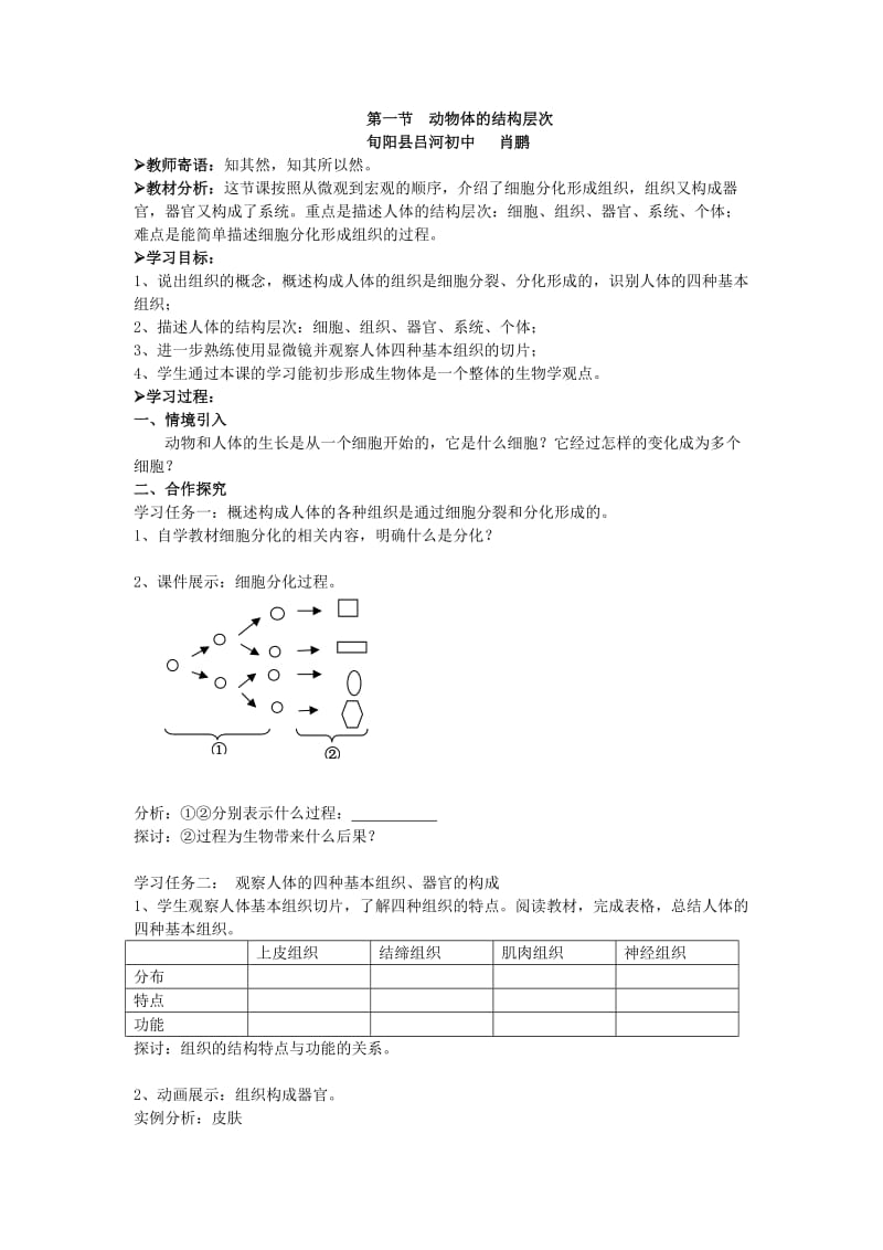 2019年第一节动物体的结构层次肖鹏精品教育.doc_第1页