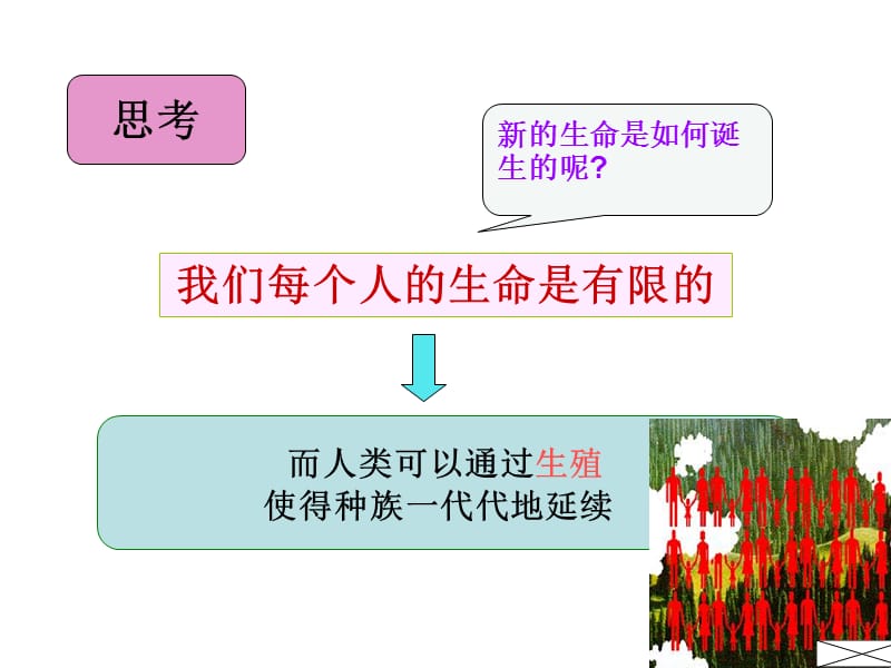 2019年精卵结合孕育新的生命精品教育.ppt_第3页